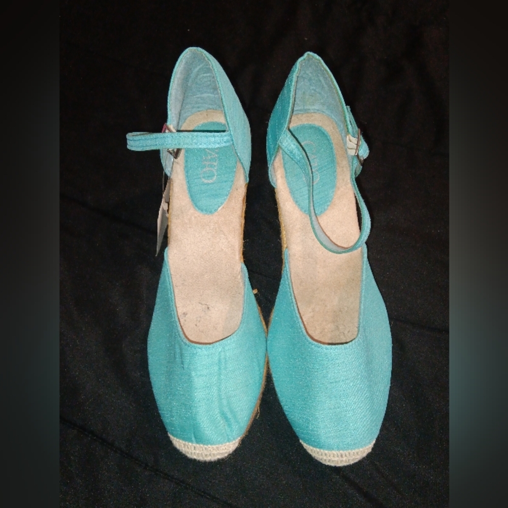 Cato's Chic Turquoise Espadrille Wedges